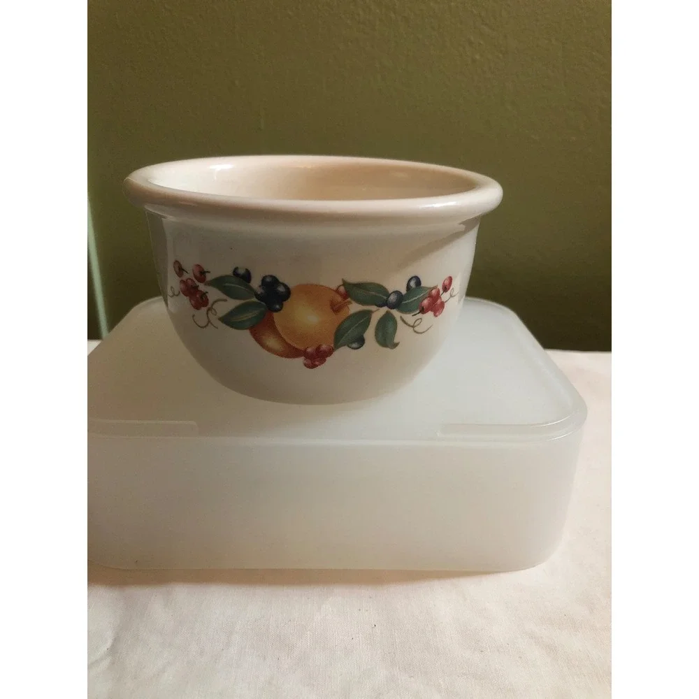 Corelle Coordinates Abundance Stoneware Ramekins 7oz Custard Cups Set of 2 Fruit